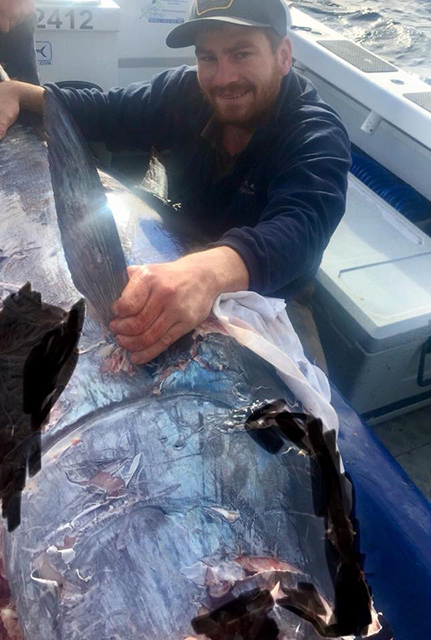 ANGLER: charter  SPECIES: Southern Bluefin Tuna WEIGHT: 130kg LURE: 8.5" JB Little Smoking Gun.